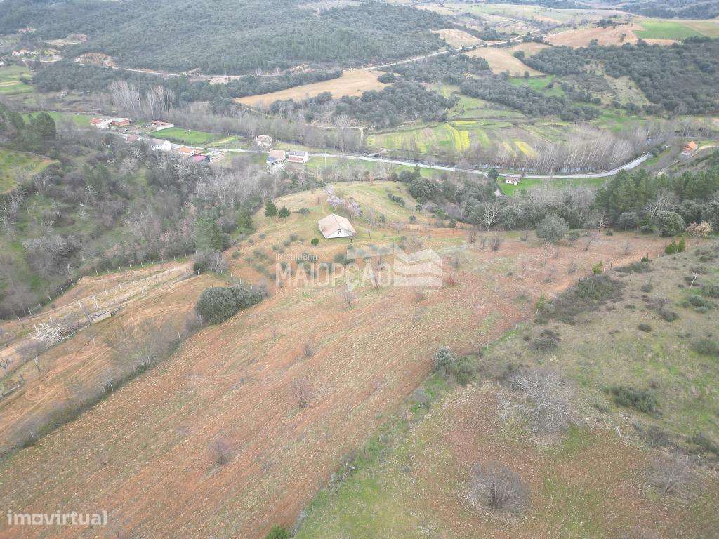 TERRENO RÚSTICO 2 HECTARES - Grande imagem: 3/8