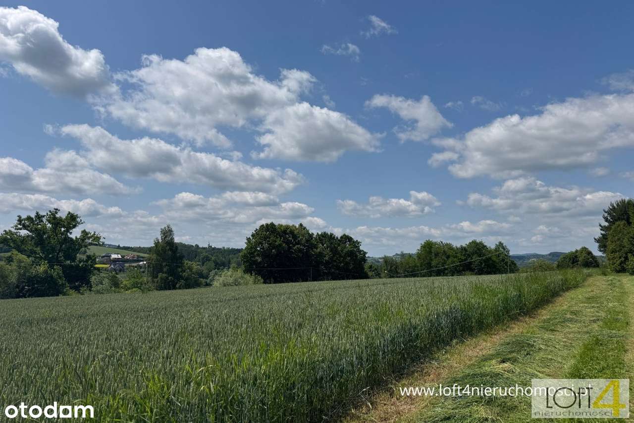 Ostania działka - Tuchów, ul. Ryglicka - Pełny obrazek: 5/17