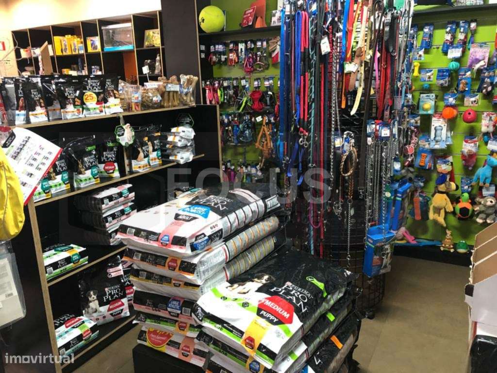 Loja de Animais / Florista / Decoração - Trespasse - Grande imagem: 4/16