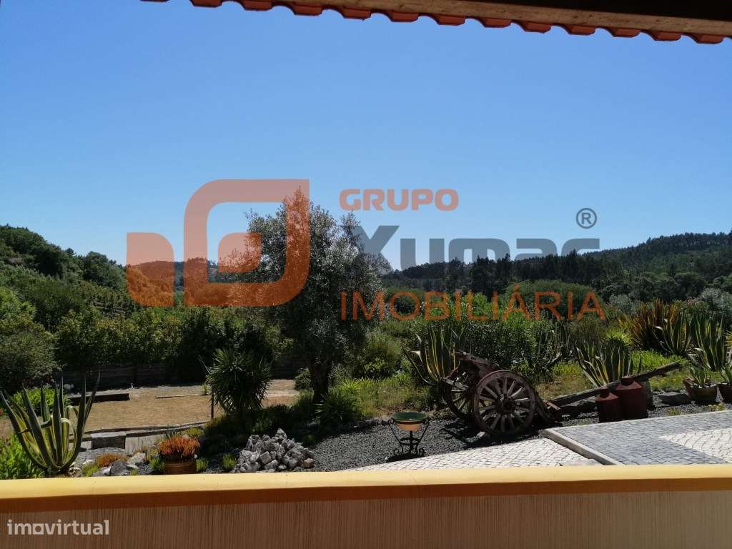 Magnífica propriedade tipo quintinha!!-22