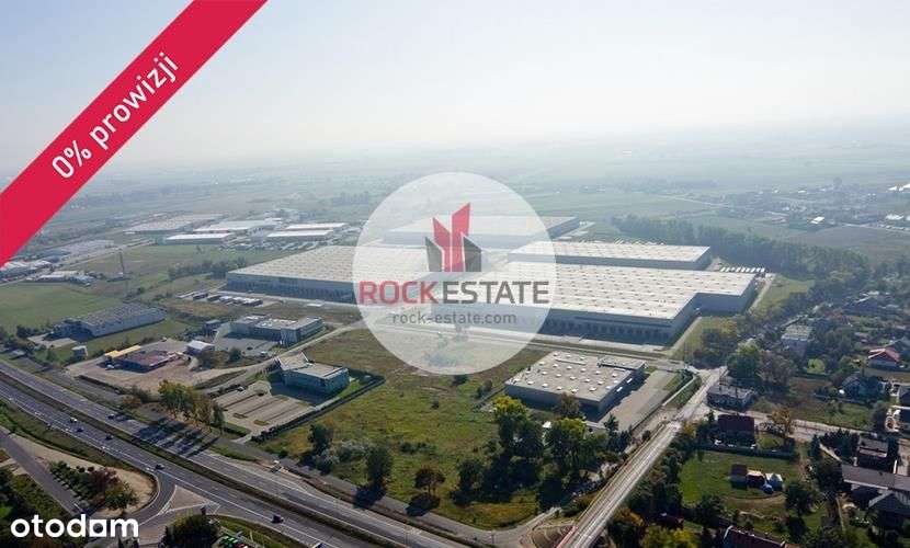 Ostatni moduł magazynowy 2,6 tyś m2 - 0% prowizji - Pełny obrazek: 5/5