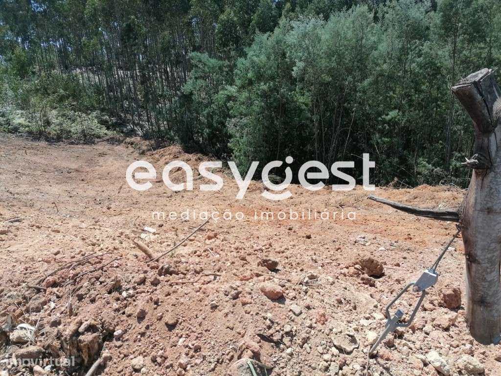 Terreno Com 2000 m2 em São Martinho do Bispo para Construção - Grande imagem: 3/4