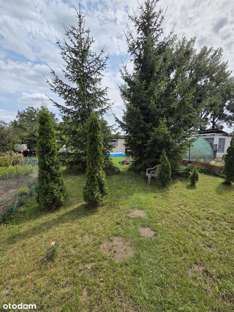 Żerniki - 4 pokoje, ogródek, garaż, do własnej aranżacji-12