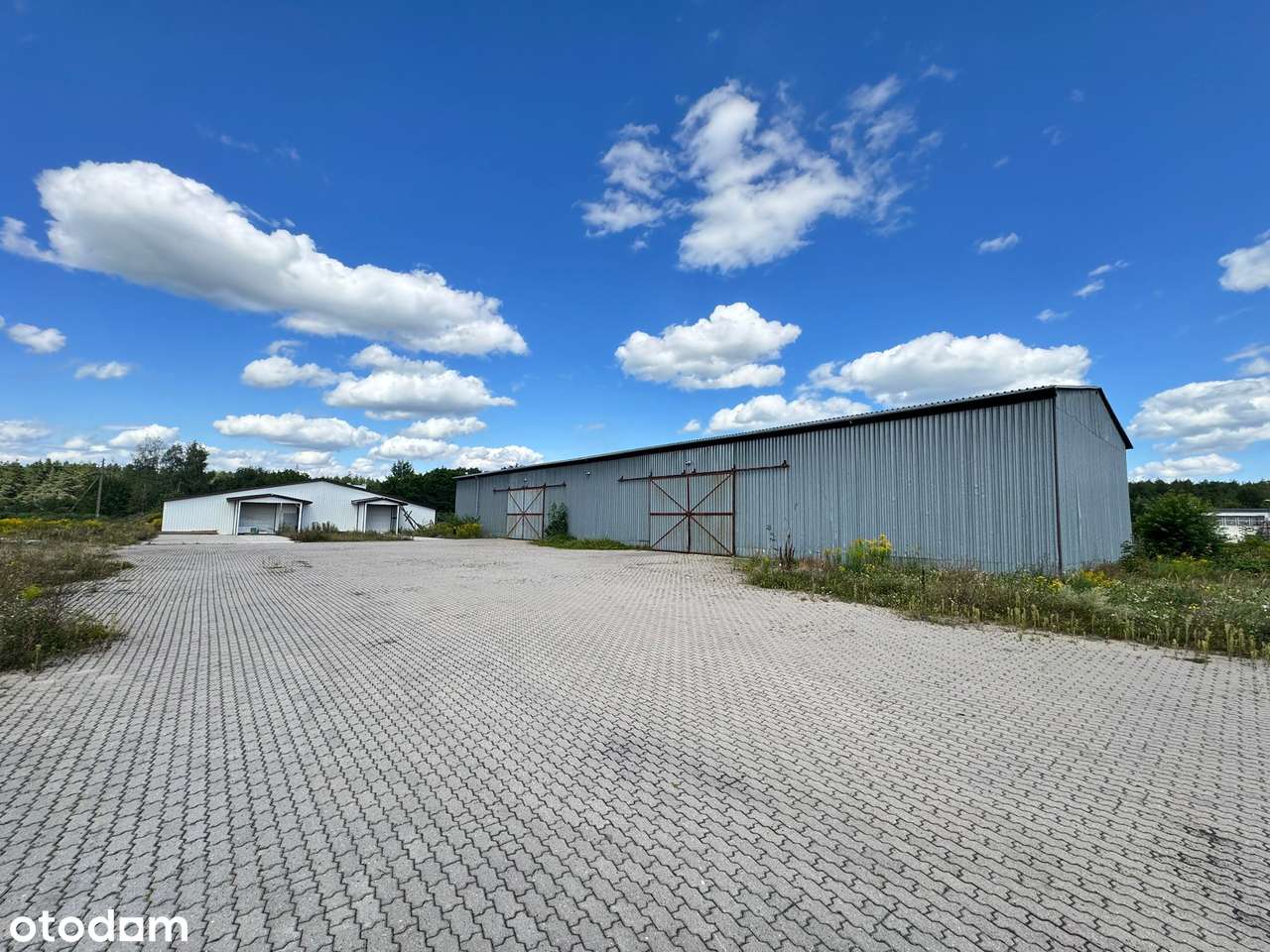 Hale produkcyjne magazynowe zespół budynków 3800 m2 działka 5 Ha-4