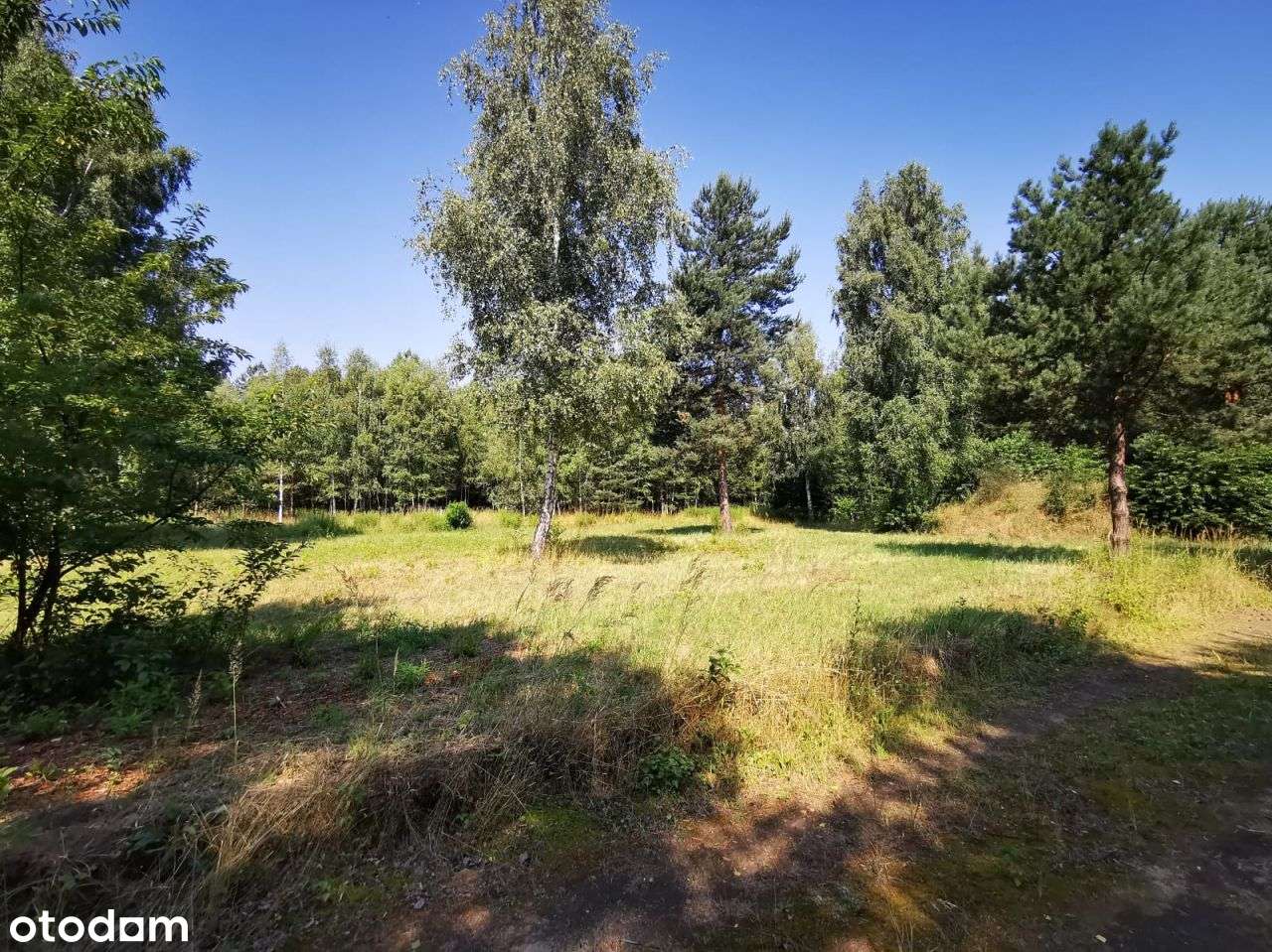 Jeżeli szukasz Intymności to ta działka jest dla C - Pełny obrazek: 5/9