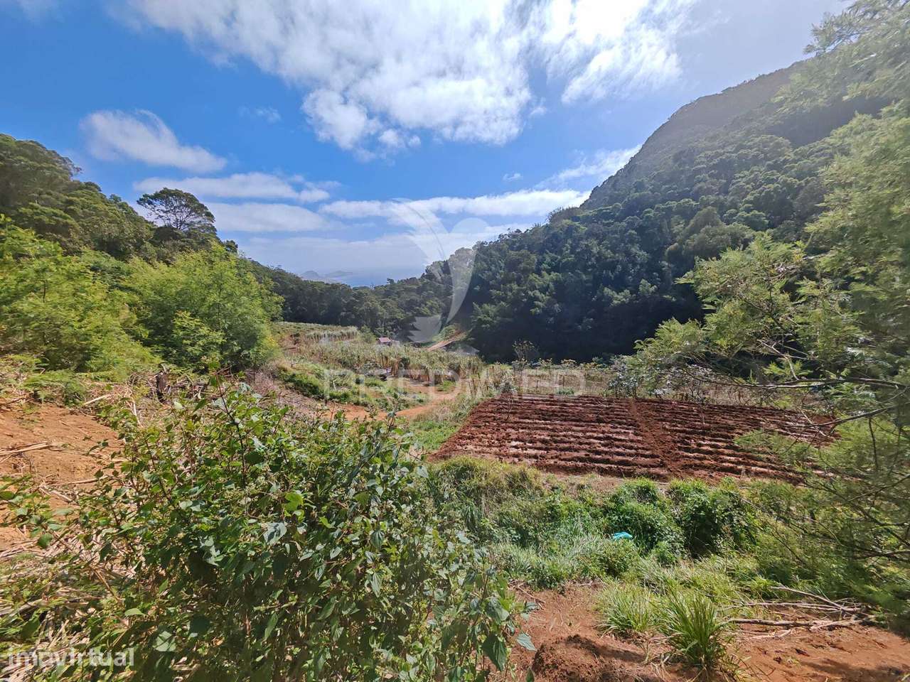 Terreno com 21 500,00 m2 à Venda Em Caniçal - Grande imagem: 4/30