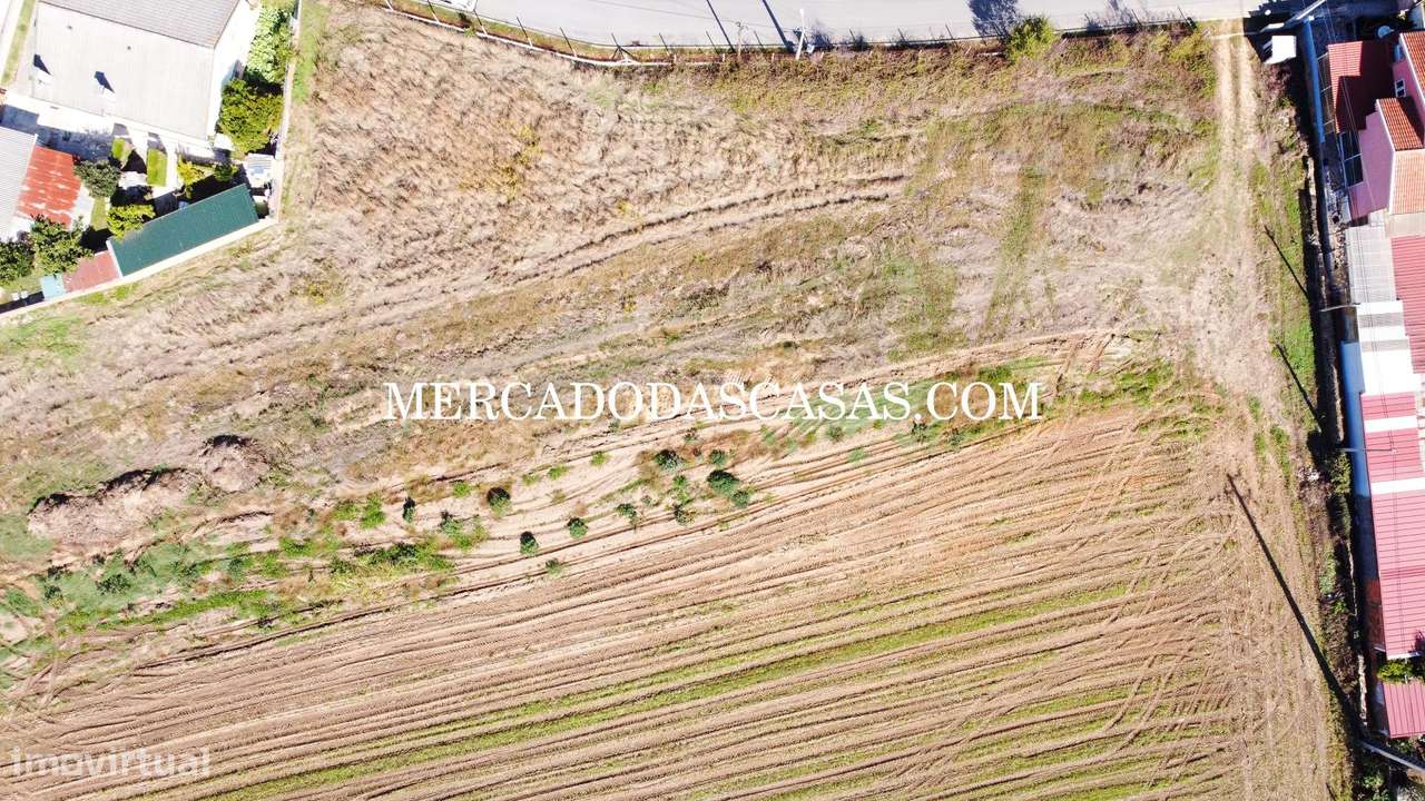 Terreno c/ 16,560m2 - São Miguel de Souto-5