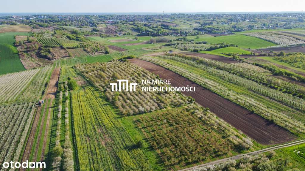 Duża działka  w Sandomierzu | 1 ha - Pełny obrazek: 3/9