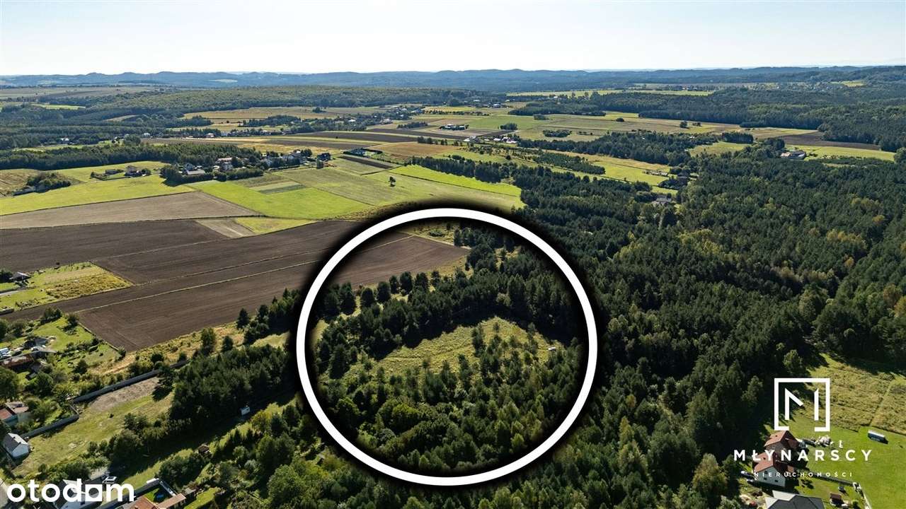 1.3ha|Pod inwestycje|Otoczenie Lasu|Zawiercie| - Pełny obrazek: 5/20