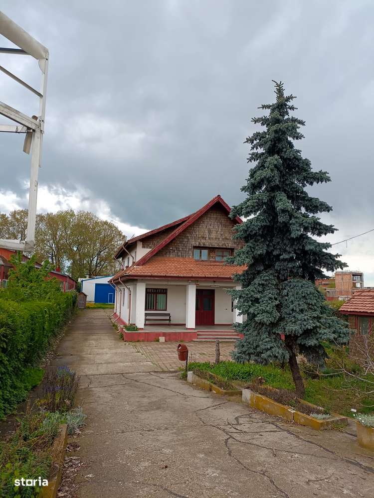 Teren 12000mp de inchiriat - Imagine principală: 3/3