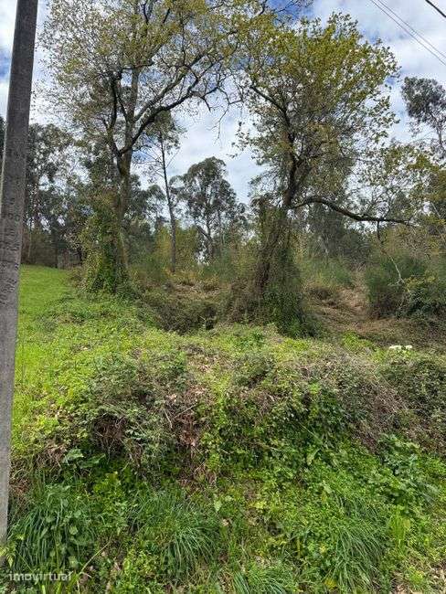 Excelente oportunidade de investimento em Vila Verde e Barbudo!-5