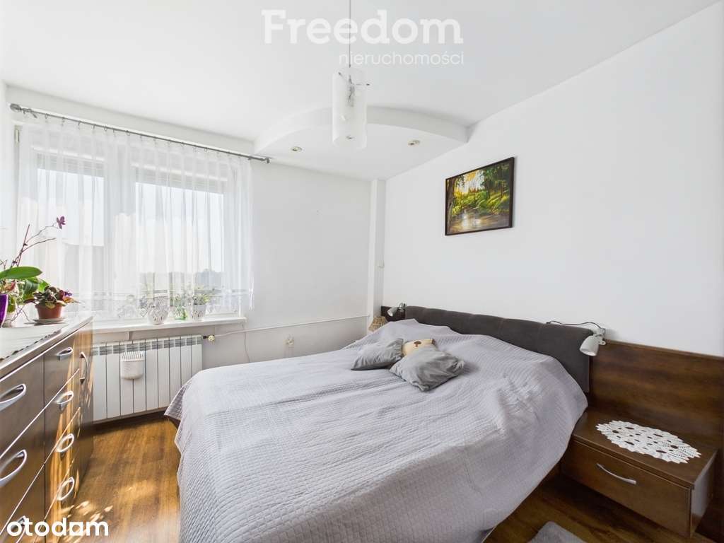 Mieszkanie 3 pokoje z loggią, klimatyzacją - Pełny obrazek: 4/14