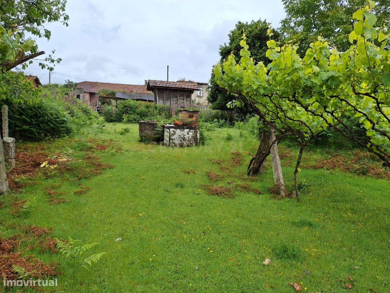 Moradia para Restauro em Arão, Valença - Grande imagem: 5/18