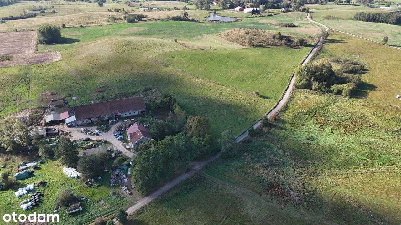 Grunt rolny w licytacji-0