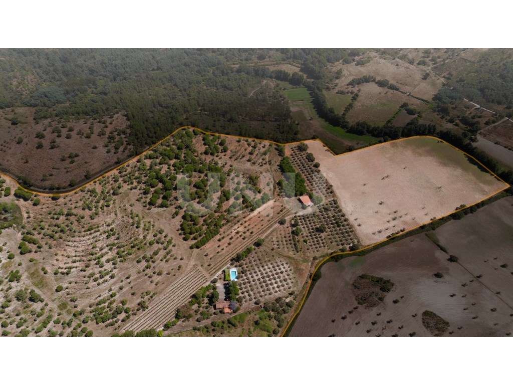 Herdade com 34 Hectares-37