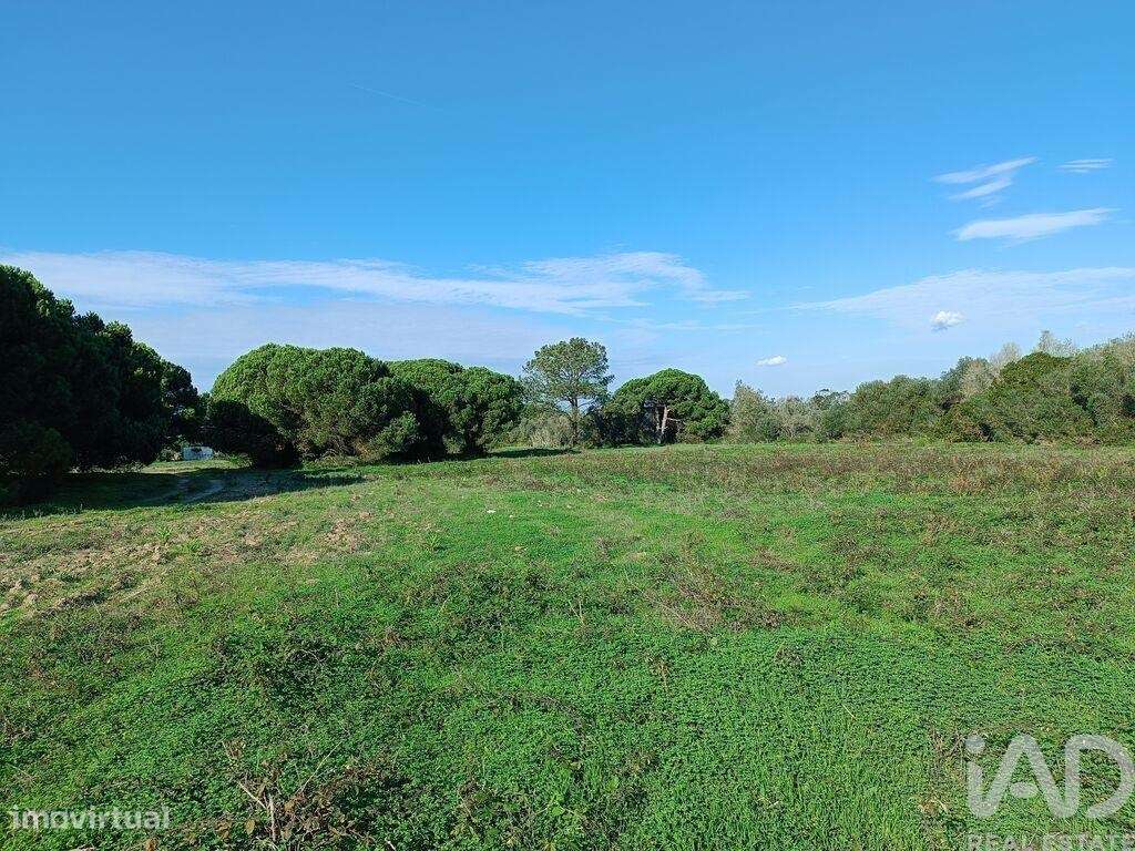 Terreno em Sesimbra (Castelo) de 15600,00 m2 - Grande imagem: 2/22