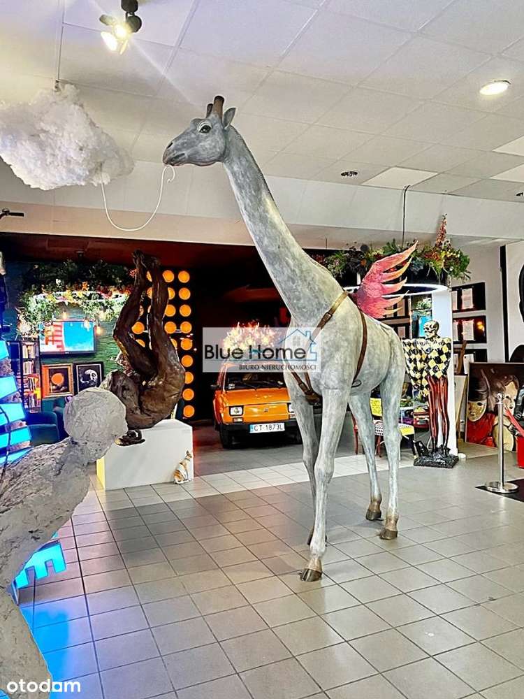 Warta uwagi nieruchomość pod wiele działalności - Pełny obrazek: 3/14