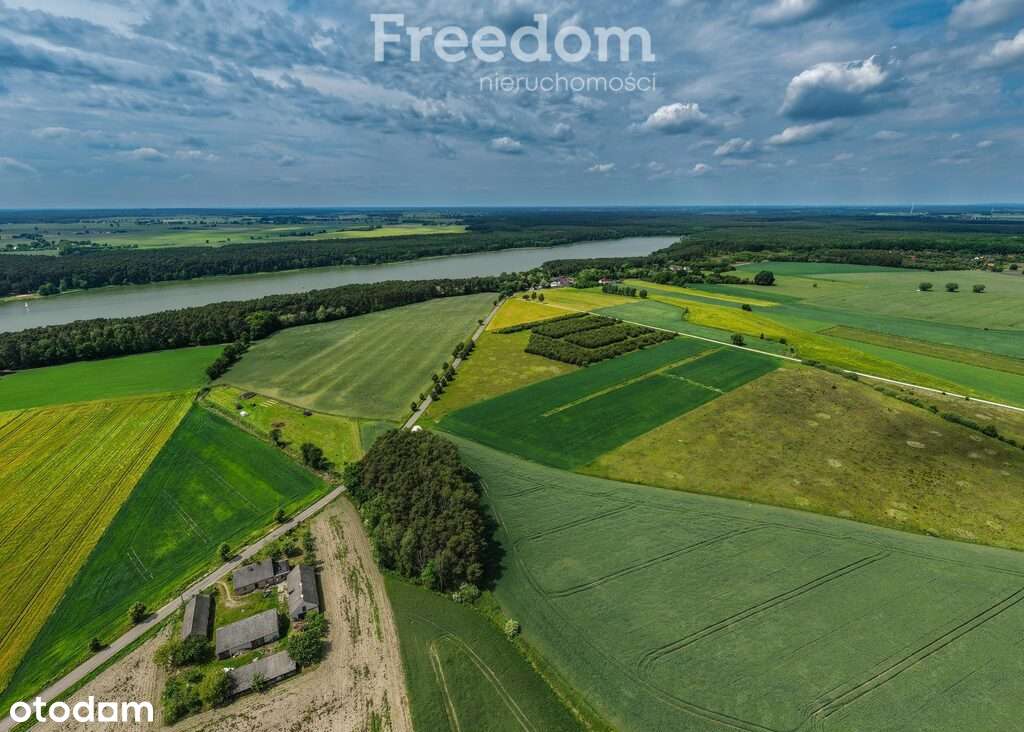 Atrakcyjna działka w Grzybowo, gm. Skoki - Pełny obrazek: 5/9