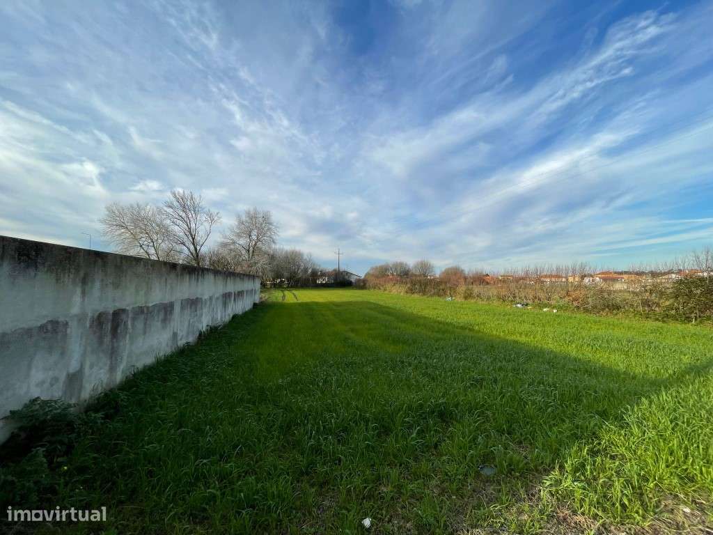 TERRENO P/CONSTRUÇÃO - MURTOSA - Grande imagem: 3/7