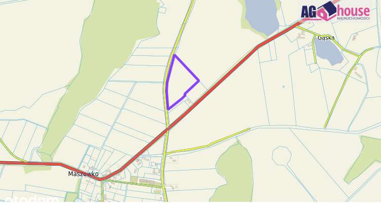 Okazja! Działka 3,3 ha niedaleko  nadmorskiej Łeby - Pełny obrazek: 5/5