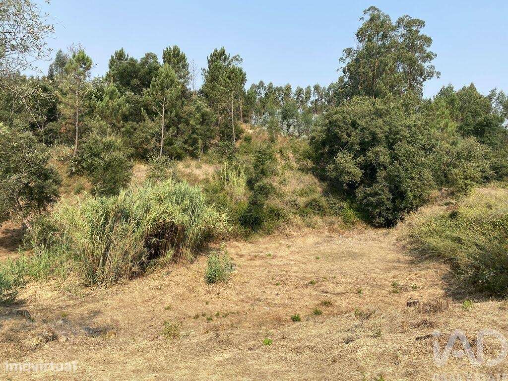 Terreno em Marrazes e Barosa de 2200,00 m2 - Grande imagem: 4/6