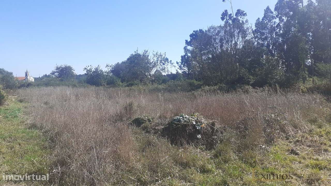 Terreno com uma área de 2880 m2, em Argivai - Grande imagem: 4/7
