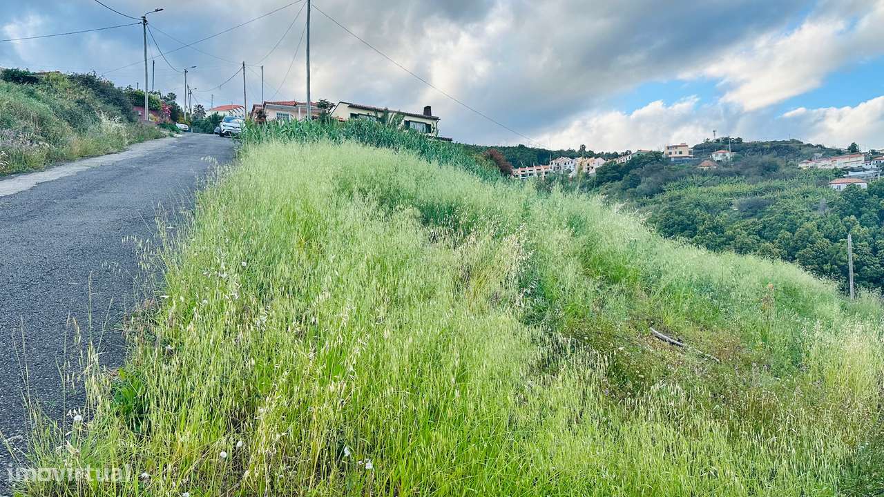 Terreno urbano com vista mar em Gaula, Santa Cruz - Grande imagem: 4/8