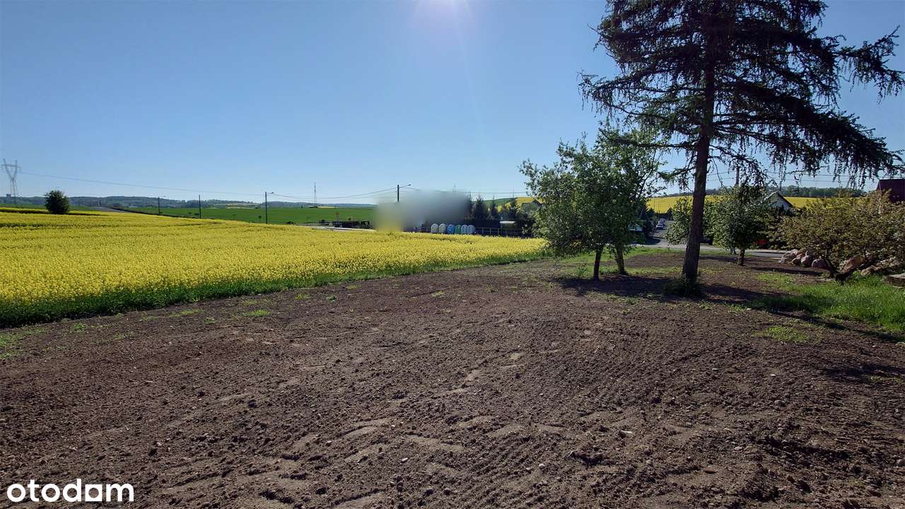 Działki budowlane pod Głogowem - Modła - Pełny obrazek: 5/8