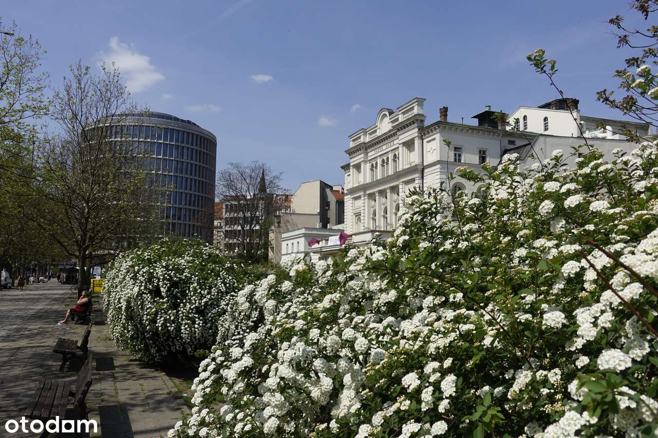 TANIO ! Centrum Poznań 2  niezależne pokoje,  oddzielna kuchnia-16