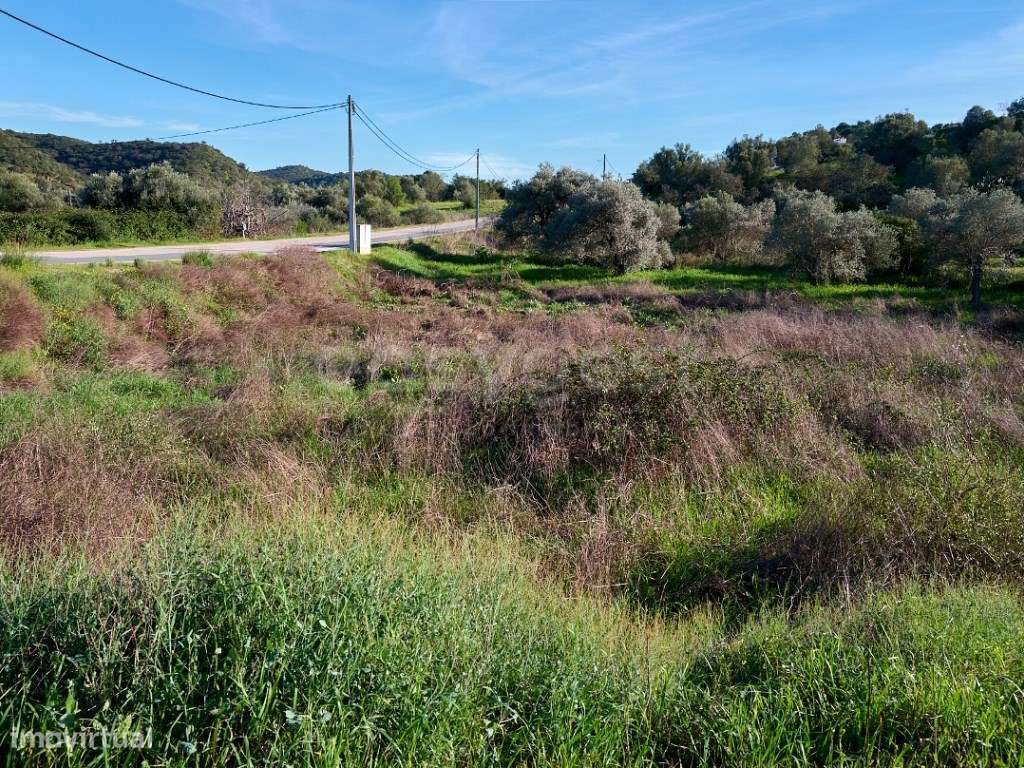 Terreno Rústico - Natureza e Tranquilidade perto de Alcoutim - Grande imagem: 4/12