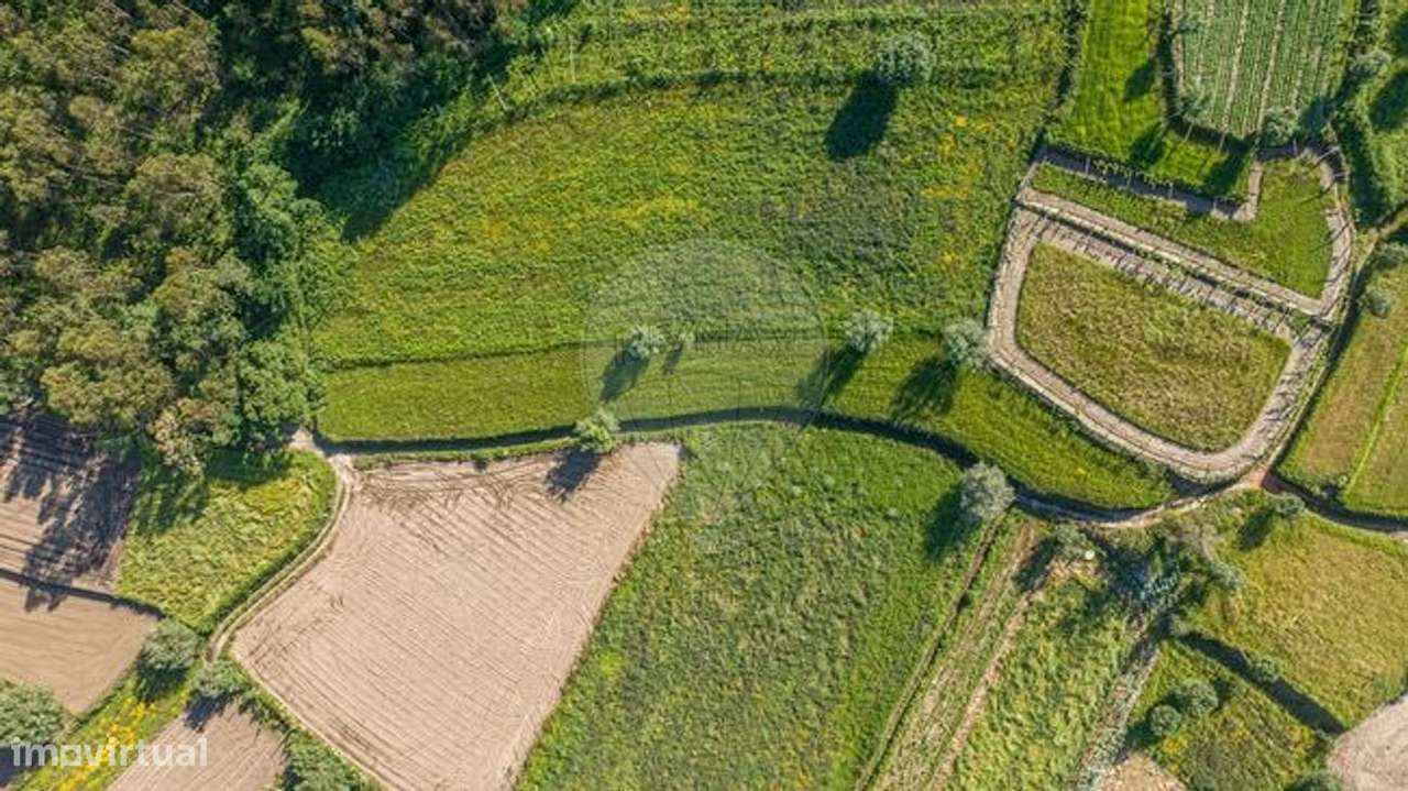 Terreno  para venda - Grande imagem: 4/6