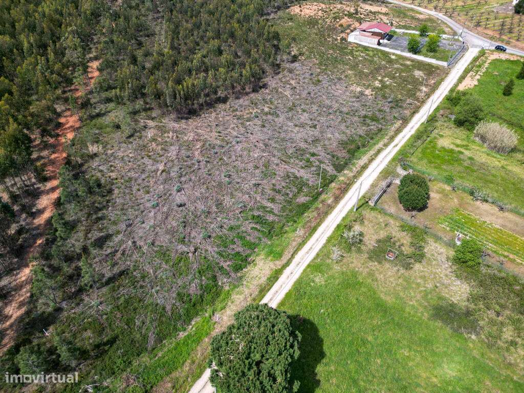 Venda Terreno - Grande imagem: 3/22