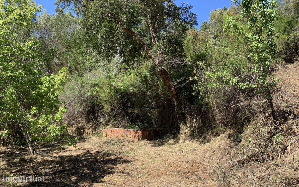 Terreno rústico - Grande imagem: 4/7