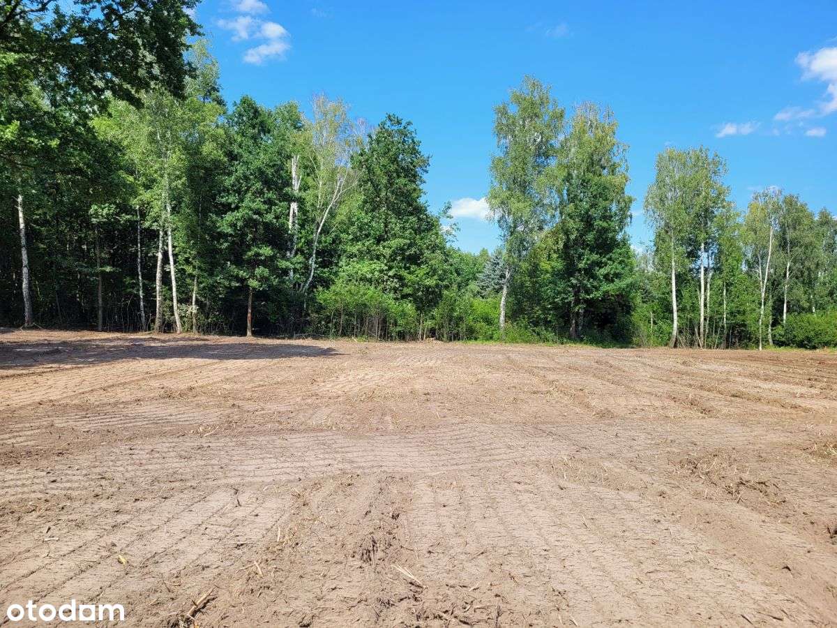 Okazja - Duża działka z WZ - Pełny obrazek: 4/12