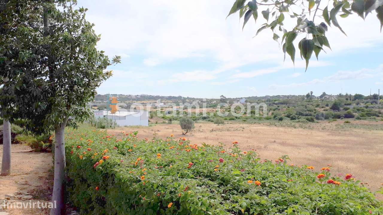Terreno Rústico  Venda em Porches,Lagoa (Algarve) - Grande imagem: 5/7