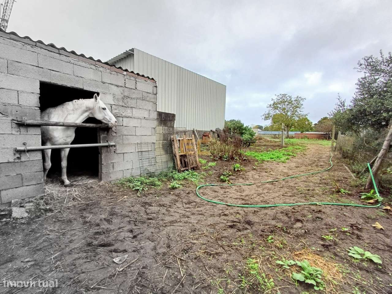 Moradia T3, para venda nos Netos, Ferreira-A- Nova- Figueira da Foz!-28