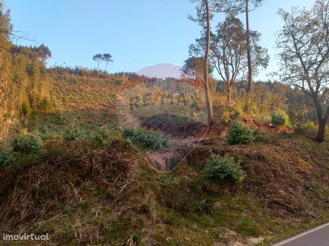 Terreno  para venda