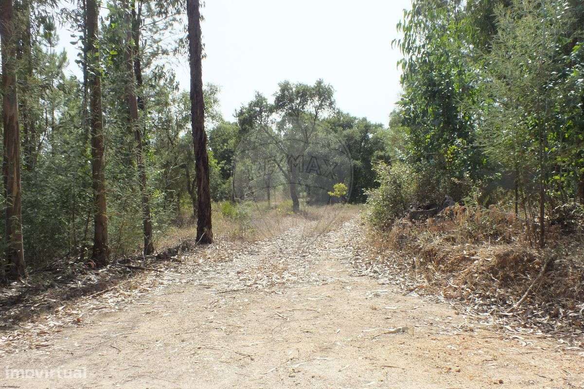 Terreno  para venda - Grande imagem: 2/17