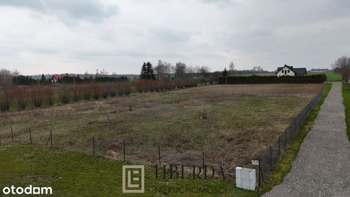 Działka pod zabudowę jednorodzinną 3000 m2 - Pełny obrazek: 4/6