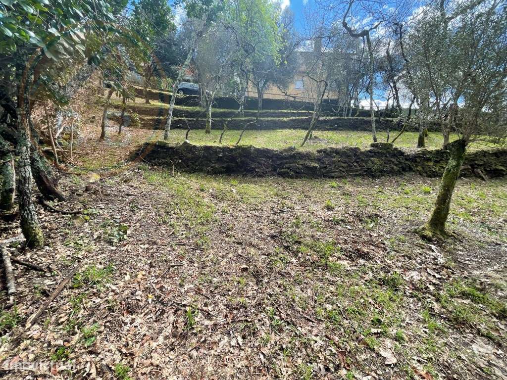 Moradia T4 em Chacim, Cabeceiras de Basto-34