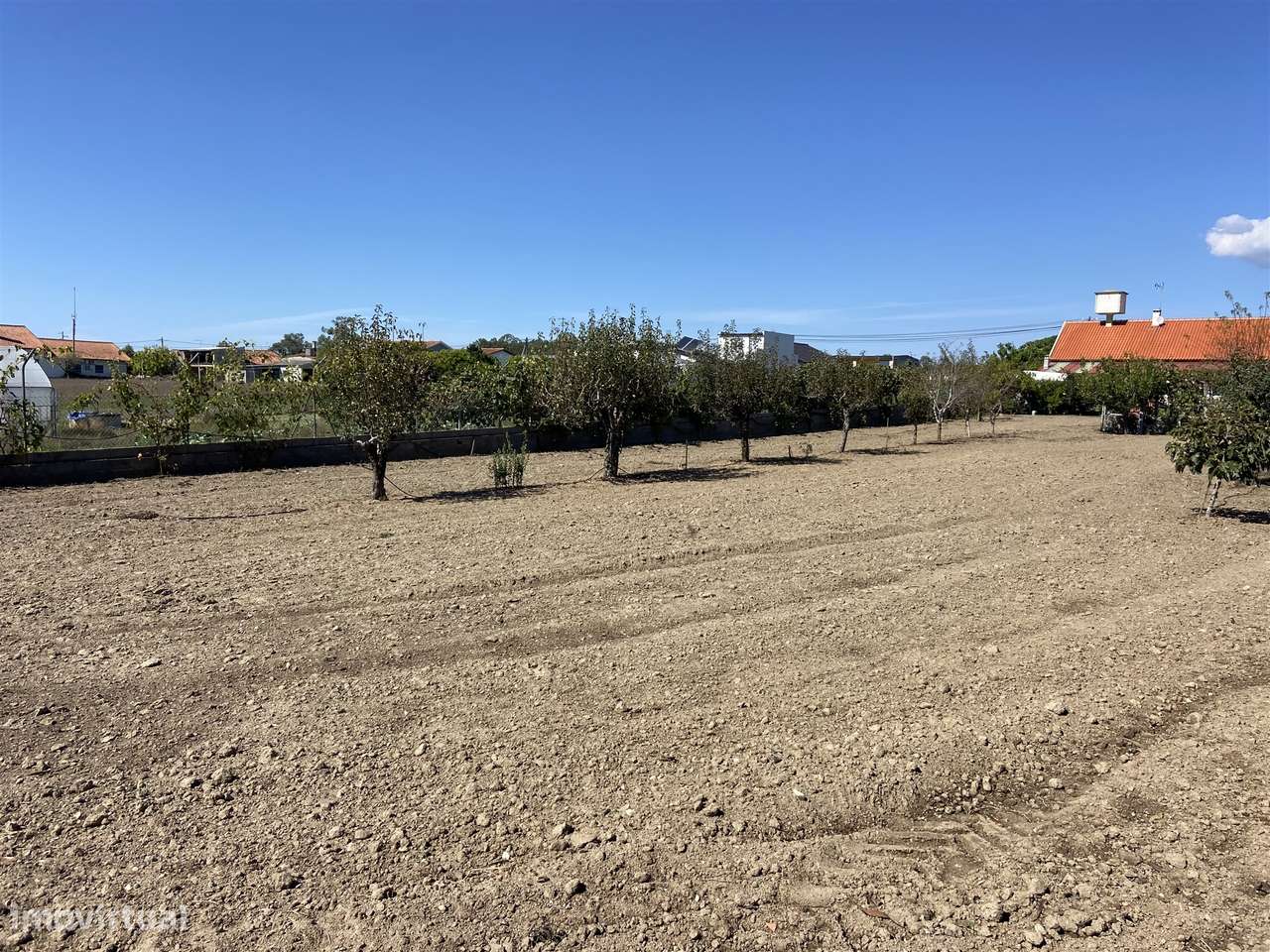 Terreno / Riba D´Aves / Ortigosa / Leiria - Grande imagem: 2/4