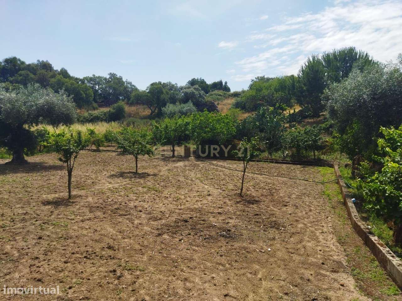 Terreno rústico | Lousa CTB, Castelo Branco - Grande imagem: 4/28