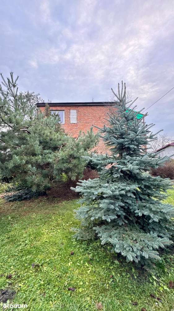 Na sprzedaż siedlisko w Chełmnie.-10