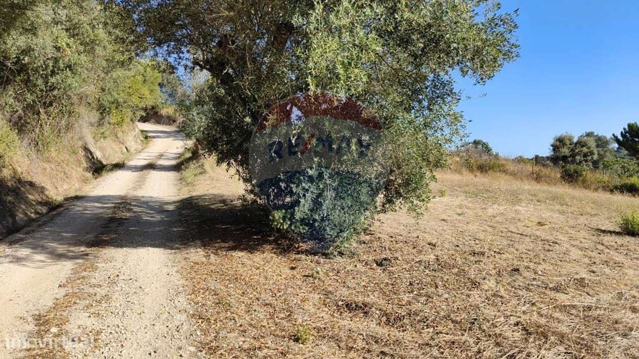 Terreno  para venda - Grande imagem: 4/9