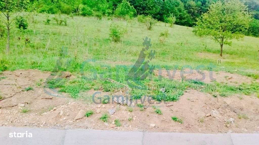 Gaminvest-Teren de vanzare, la iesirea din Baile Felix, Bihor V2896A - Imagine principală: 2/4