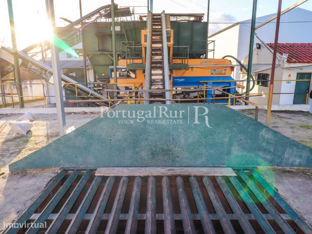 Unidade Industrial de Produção de Azeite & Elevado Potencial Produtivo-43