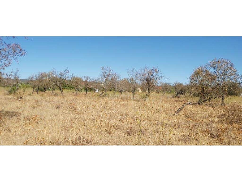Terreno rústico, em zona agrícola, Curral da Pedra, Paderne, Albufe... - Grande imagem: 2/26