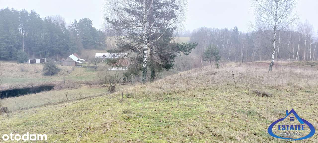 Biała Woda, gm. Suwałki 0,3000 ha - działka na sprzedaż - Pełny obrazek: 5/6