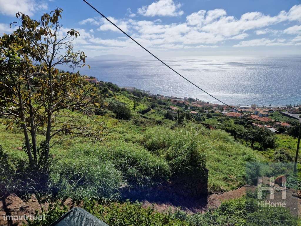 Prédio rústico com 2.101m2 nas Levadas em Santa Cruz - Grande imagem: 3/8