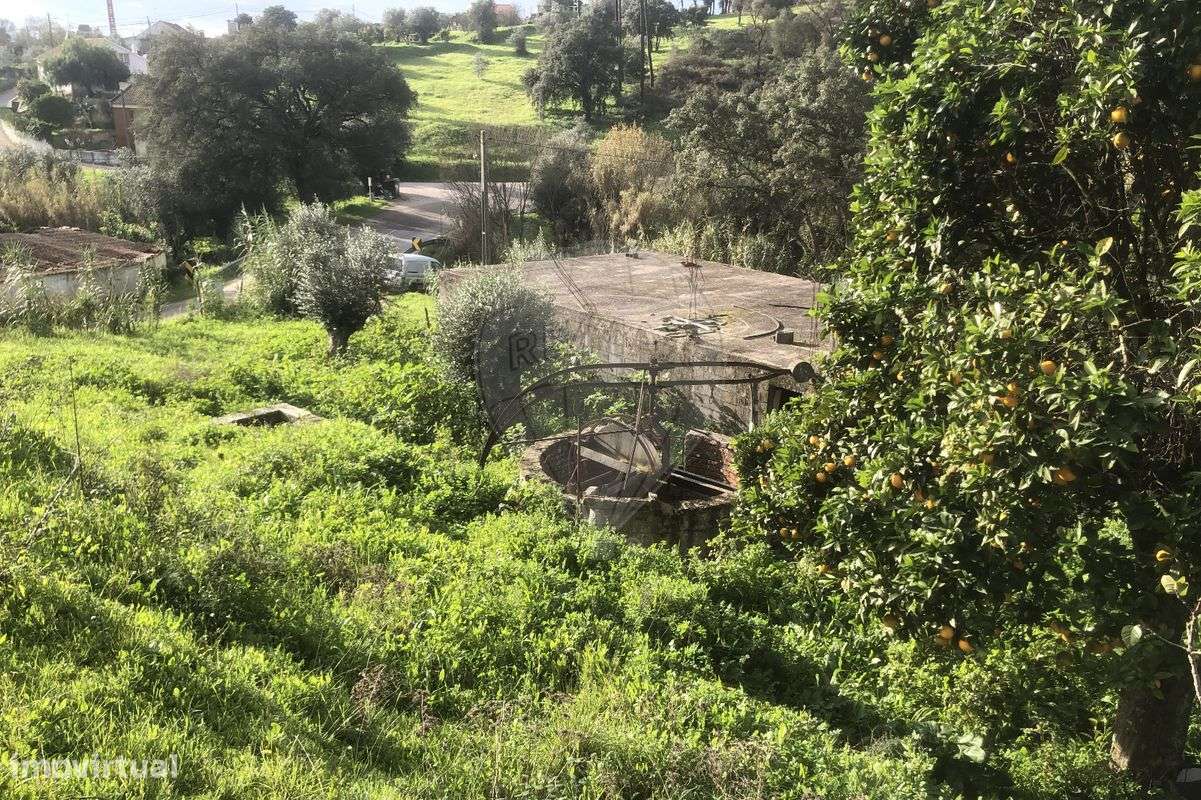 Terreno  para venda - Grande imagem: 5/12